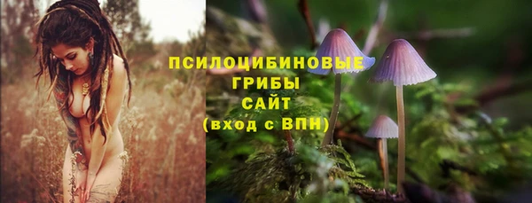 герыч Белокуриха