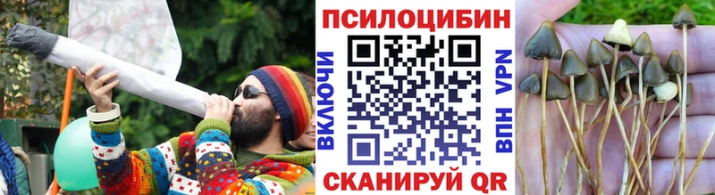 как найти закладки Новокузнецк Псилоцибиновые грибы мухоморы